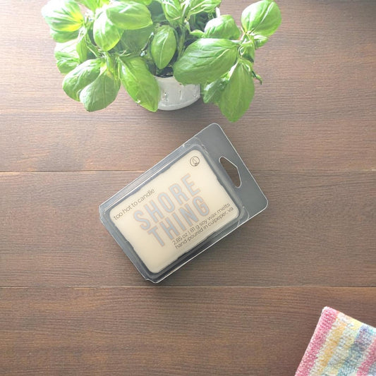 Shore Thing Wax Melts