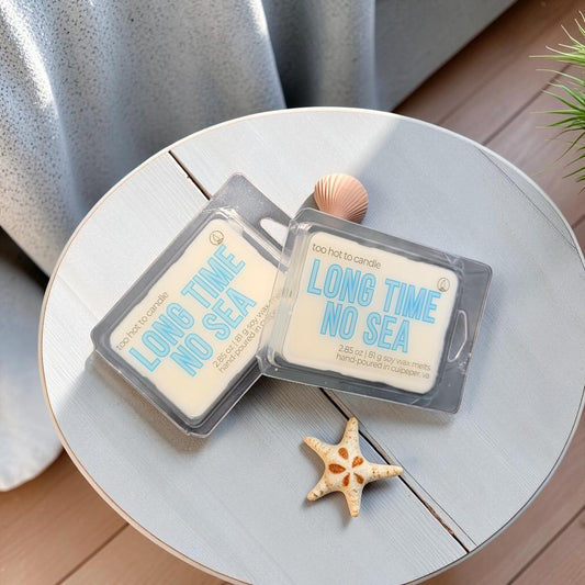 Long Time No Sea Wax Melts