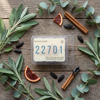 22701 Wax Melts scent-inspired flat lay